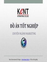 Nhu cầu xem ca nhạc quốc tế của giới trẻ TP. Hồ Chí Minh.