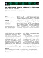Báo cáo khoa học: Amyloid oligomers: formation and toxicity of Ab oligomers ppt
