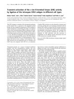 Báo cáo Y học: Transient activation of the c-Jun N-terminal kinase (JNK) activity by ligation of the tetraspan CD53 antigen in different cell types pptx