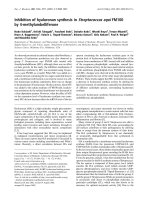Báo cáo Y học: Inhibition of hyaluronan synthesis in Streptococcus equi FM100 by 4-methylumbelliferone doc