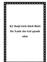  Kỹ thuật kích thích Bưởi Da Xanh cho trái quanh năm docx