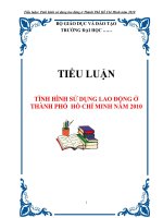 TIỂU LUẬN: TÌNH HÌNH SỬ DỤNG LAO ĐỘNG Ở THÀNH PHỐ HỒ CHÍ MINH NĂM 2010 ppt