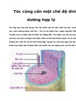 Tóc cũng cần một chế độ dinh dưỡng hợp lý pptx