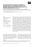 Báo cáo khoa học: Increased sensitivity of glycogen synthesis to phosphorylase-a and impaired expression of the glycogen-targeting protein R6 in hepatocytes from insulin-resistant Zucker fa ⁄ fa rats pptx
