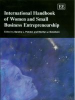 INTERNATIONAL HANDBOOK OF WOMEN AND SMALL BUSINESS ENTREPRENEURSHIP docx