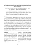Microorganisms Associated with Volatile Organic Compound Production in Spoilt Mango Fruits docx