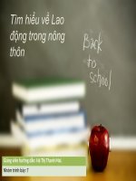 Thảo luận: Tìm hiểu về lao động trong nông thôn docx