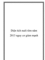 Diện tích nuôi tôm năm 2013 nguy cơ giảm mạnh potx