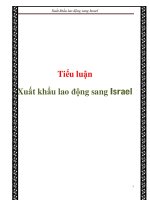 Tiểu luận: Xuất khẩu lao động sang Israel pdf
