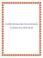 Các chiếc cầu trong ca dao pdf