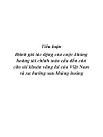 Tiểu luận Đánh giá tác động của cuộc khủng hoảng tài chính toàn cầu đến cán cân tài khoản vãng lai của Việt Nam và xu hướng sau khủng hoảng pot