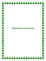 Bài thuốc đông y chữa viêm xoang pptx