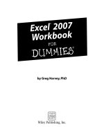 microsoft office excel 2007 workbook for dummies