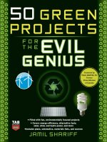 green projects for the evil genius
