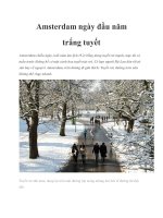 Amsterdam ngày đầu năm trắng tuyết pot