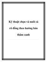 Kỹ thuật chọn và nuôi cá rô đồng theo hướng bán thâm canh doc