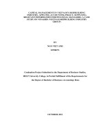 capital management in vietnam’s shipbuilding industry, applying accounting policy, supplying relevant information for financial managers a case study on vinashin (vietnam shipbuilding industry group)