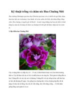 Kỹ thuật trồng và chăm sóc Hoa Chuông Mới pdf