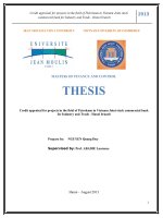 Credit appraisal for projects in the field of Petroleum in Vietnam Joint stock commercial bank for Industry and Trade - Hanoi branch