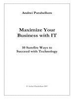 Andrei ParabellumMaximize Your Business with IT pptx