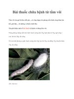 Bài thuốc chữa bệnh từ tằm vôi pptx