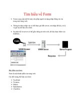 Tìm hiểu về Form pot