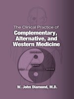 The Clinical Practice of Complementary, Alternative, and Western Medicine pot