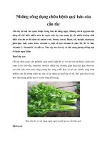 Những công dụng chữa bệnh quý báu của cần tây potx