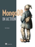 MongoDB in Action pdf