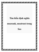 Tìm hiểu định nghĩa mozrank, moztrust trong Seo potx