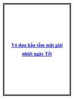 Vỏ dưa hấu tẩm mật giải nhiệt ngày Tết pptx