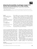 Báo cáo khoa học: Enhancing thermostability of maltogenic amylase from Bacillus thermoalkalophilus ET2 by DNA shufﬂing pdf