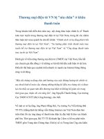 Thương mại điện tử VN bị 