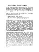 Bài 1: NHẬP MÔN TƯ DUY PHẢN BIỆN pot