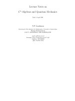 Lecture notes on c algebras and quantum mechanics  [jnl article]   n  lamdsman