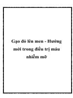 Gạo đỏ lên men - Hướng mới trong điều trị máu nhiễm mỡ potx