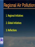 Regional Air Pollution pot