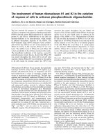 Báo cáo khoa học: The involvement of human ribonucleases H1 and H2 in the variation of response of cells to antisense phosphorothioate oligonucleotides pot
