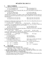 ĐỀ KIỂM TRA HOÁ 11 doc