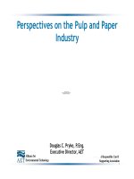 Perspectives on the Pulp and Paper Industry pdf