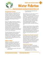 Health and the Environment: Water Pollution pot