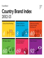 Country Brand Index 2012-13 pot
