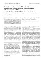 Báo cáo khoa học: Kinetic studies and molecular modelling attribute a crucial role in the speciﬁcity and stereoselectivity of penicillin acylase to the pair ArgA145-ArgB263 pdf