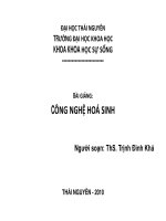 BÀI GIẢNG: CÔNG NGHỆ HOÁ SINH docx