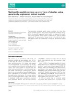 Báo cáo khoa học: Natriuretic peptide system: an overview of studies using genetically engineered animal models doc