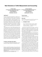 New Directions in Trafﬁc Measurement and Accounting pdf