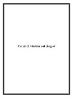 Cư xử có văn hóa nơi công sở doc