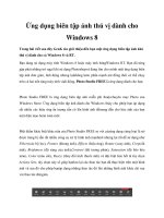 Ứng dụng biên tập ảnh thú vị dành cho Windows 8 potx