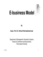 E-business Model ppt