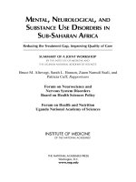 Mental, Neurological, And Subtance Use Disorders In Sub-Saharan Africa docx